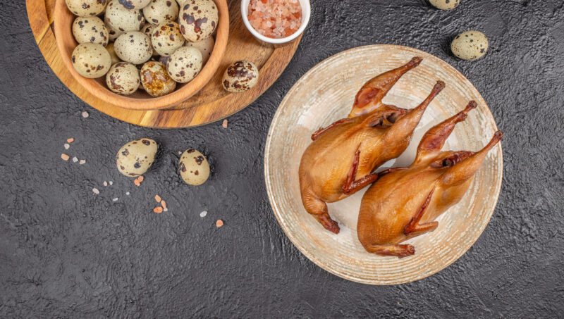 bildircinetveyumurta